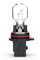 Birnen PSX26W